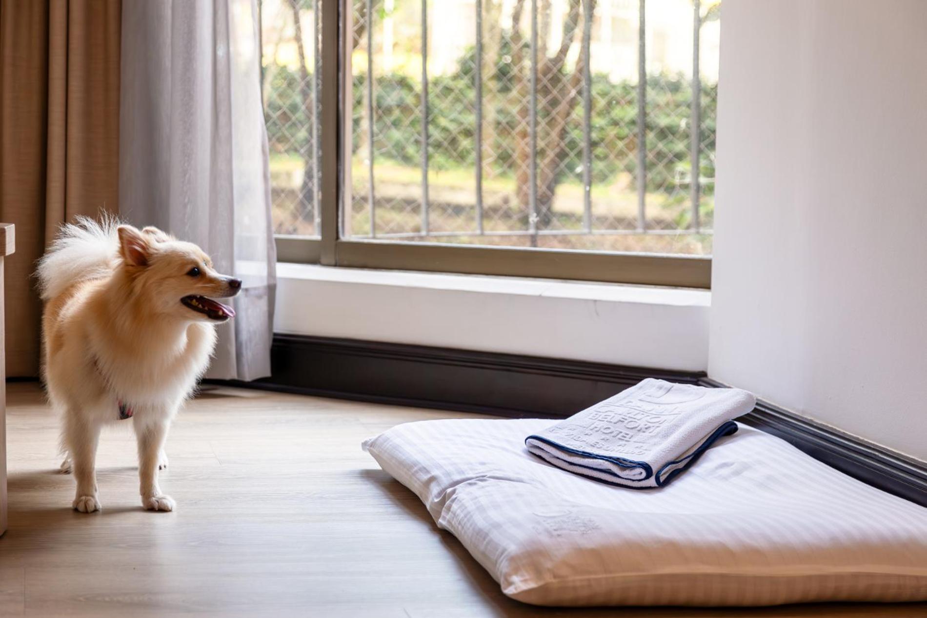 Hotel Dann Carlton Belfort מדיין מראה חיצוני תמונה A dog bed